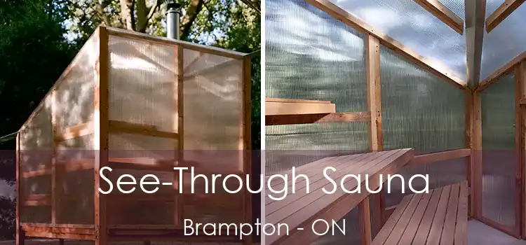  See-Through Sauna Brampton - ON